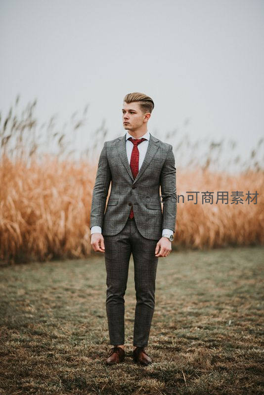 格纹西装男立于秋日芦苇丛中眺望远方