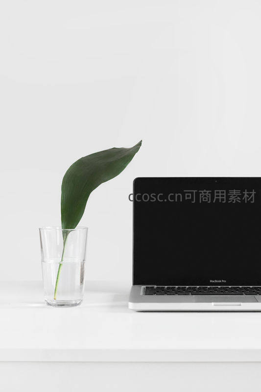 极简主义桌面，一片绿叶与一台MacBook