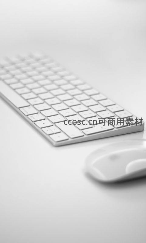 极简主义的白色键盘与鼠标特写