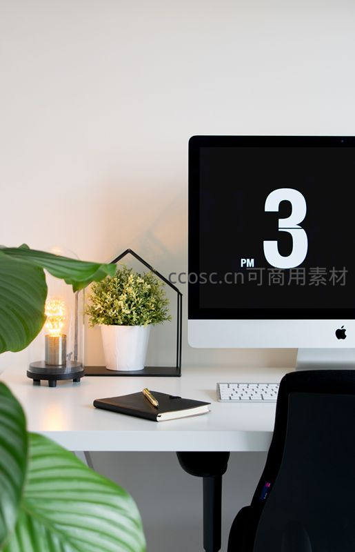 现代简约办公桌，绿植点缀科技感