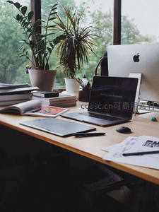 绿意盎然的木质书桌工作区