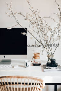 樱花枝旁的苹果电脑工作台