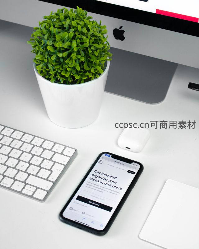 现代办公桌面，绿植与科技完美融合