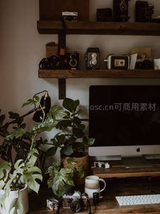 复古相机与绿植点缀的温馨工作台