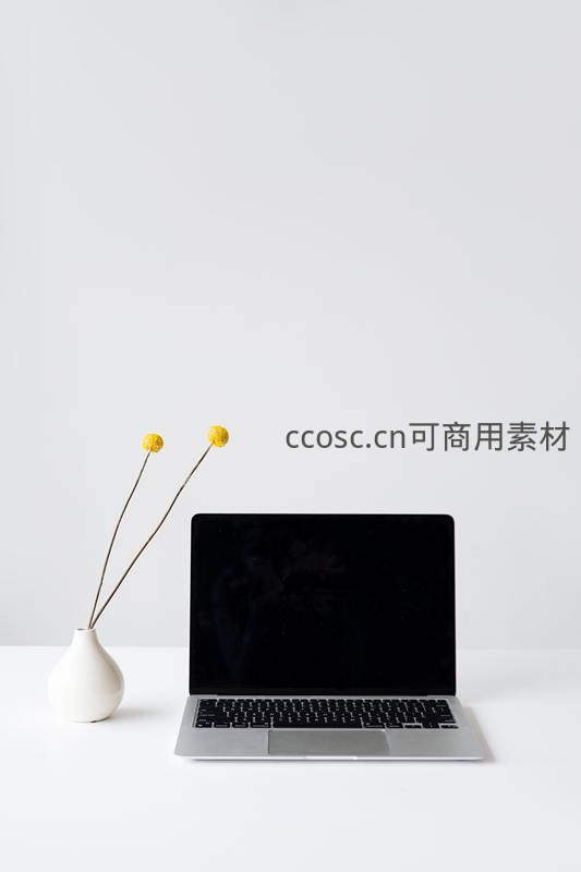 单支黄色小花与黑色屏幕笔记本电脑