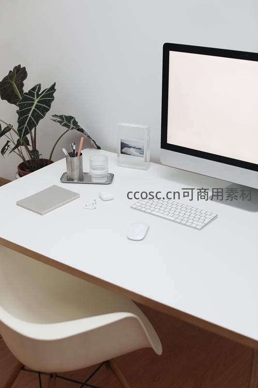 简约白色办公桌与绿植相伴