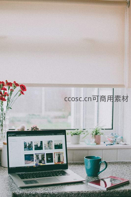 窗边办公桌，鲜花与笔记本电脑的静谧时光