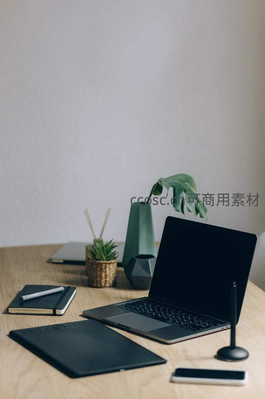 绿色植物点缀的创意工作台