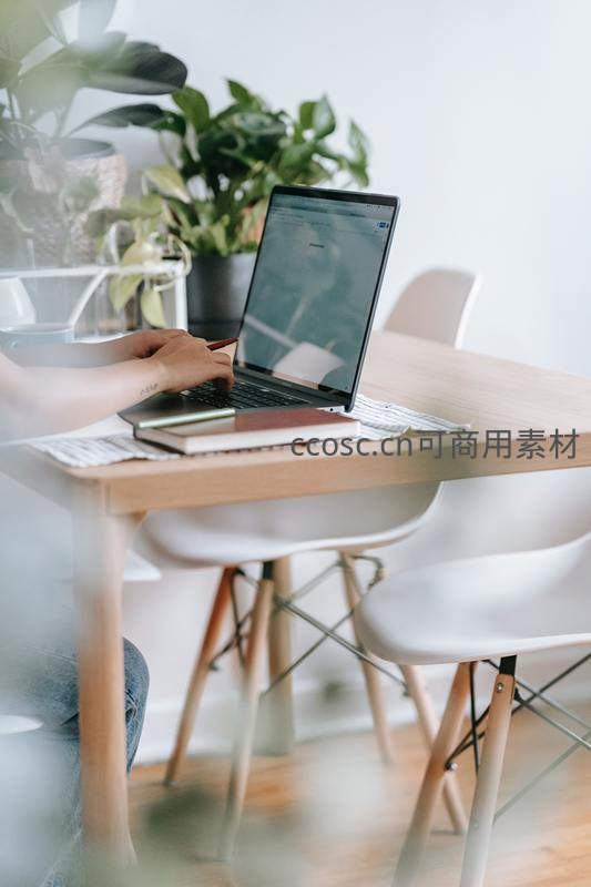 绿植环绕中使用笔记本工作
