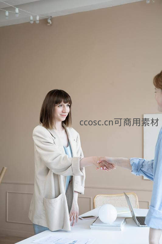 两位商务人士在简约办公室握手达成协议