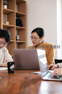 两位同事在温馨办公室内共同使用笔记本电脑