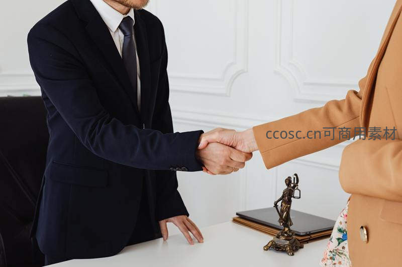 正式场合商务握手礼