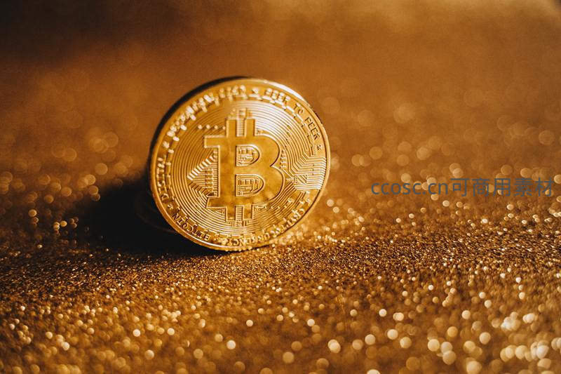 金色比特币置于闪耀金粉之上