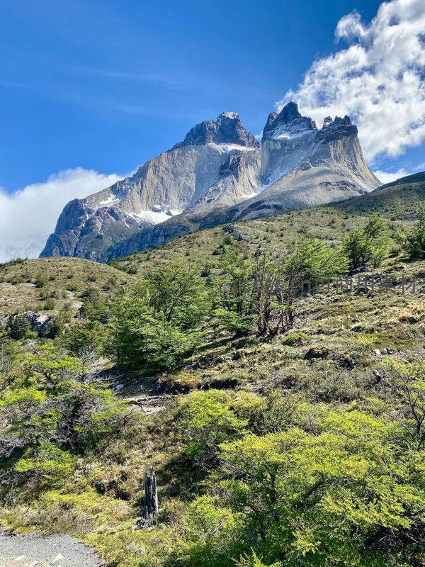 巍峨雪山耸立云霄，山麓绿植点缀苍茫大地