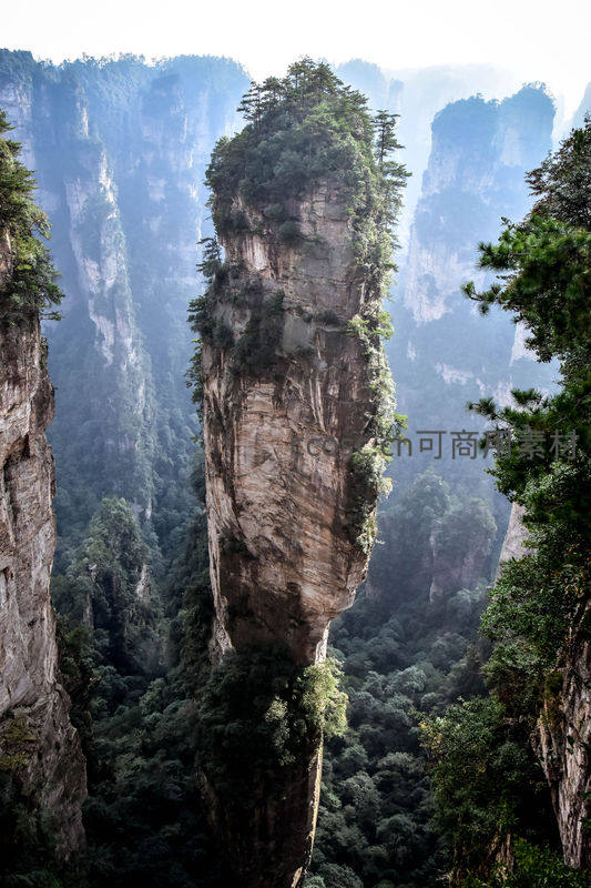奇峰孤耸云雾缭绕，张家界石柱直插天际