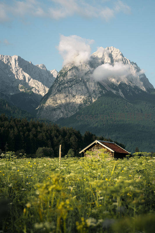 花海小屋伴青山，云绕峰顶景如画