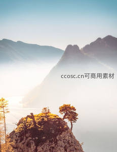 晨雾缭绕山巅，孤松傲立崖边