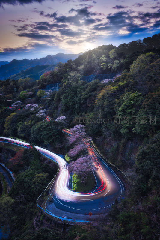 蜿蜒山路车流光轨穿梭花海林间