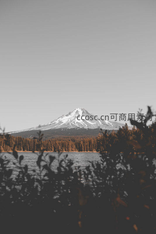 湖岸剪影映雪峰，静谧山水如画中景