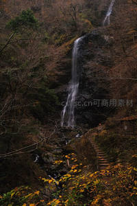秋日瀑布穿林过，石阶引路入深山