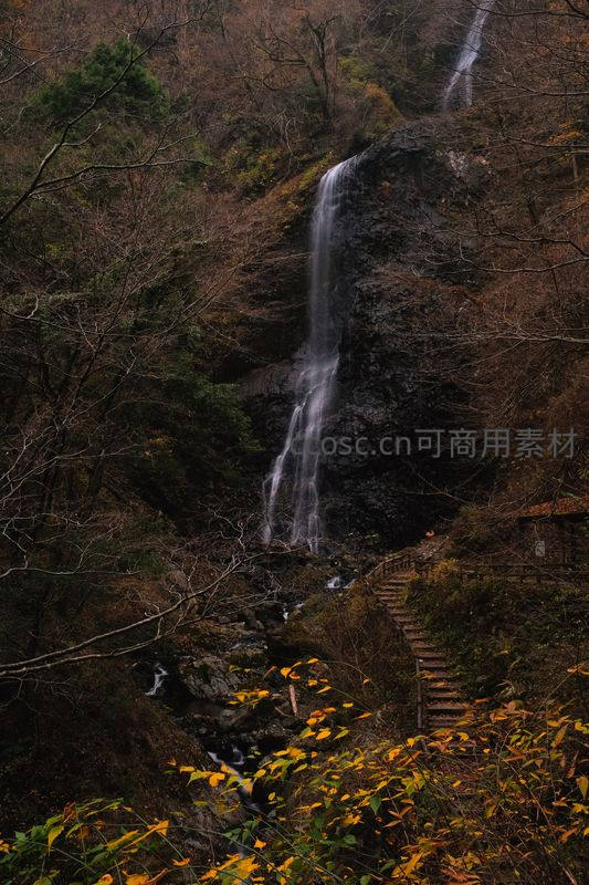 秋日瀑布穿林过，石阶引路入深山