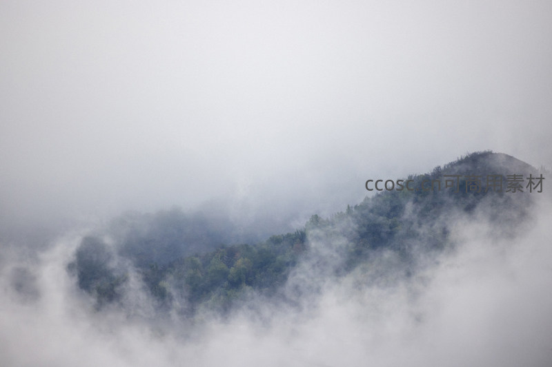 云雾缭绕山林，仙境般朦胧