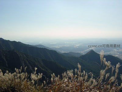 山顶芦苇摇曳，远眺层峦叠嶂山谷