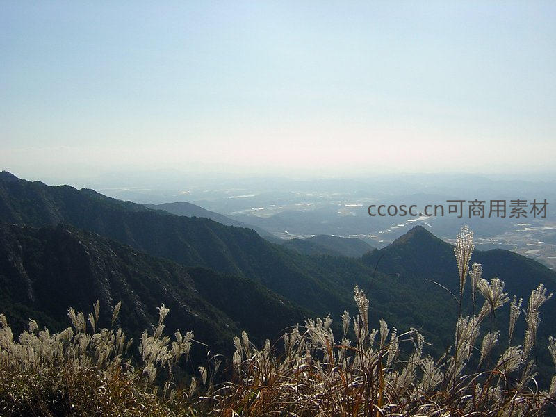 山顶芦苇摇曳，远眺层峦叠嶂山谷