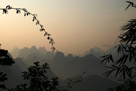 暮色山峦与竹影相映成趣