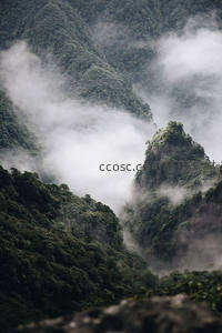 云雾缭绕的翠绿山谷与奇峰
