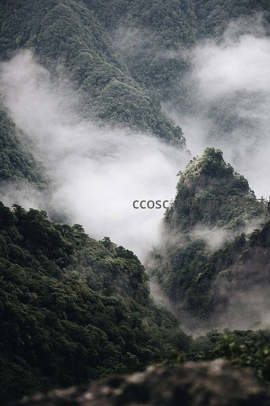 云雾缭绕的翠绿山谷与奇峰