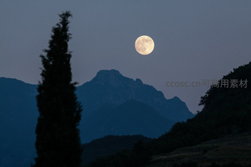 明月高悬山巅，夜色静谧如画