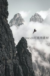 云海孤鹰翱翔于险峻山峰之间