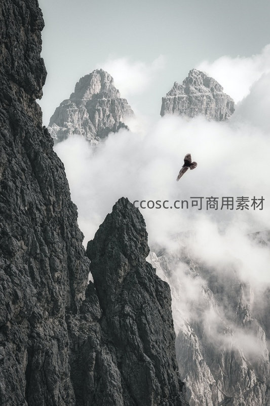 云海孤鹰翱翔于险峻山峰之间