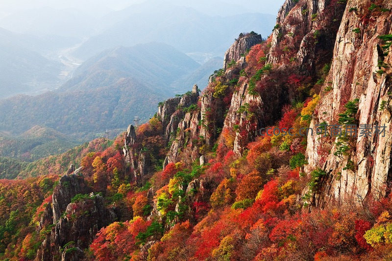 秋染层林，红叶漫山遍野覆盖嶙峋山岩