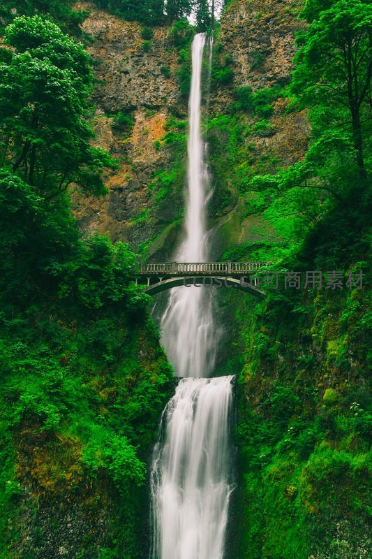 绿意盎然峡谷中，瀑布飞流直下穿桥而过
