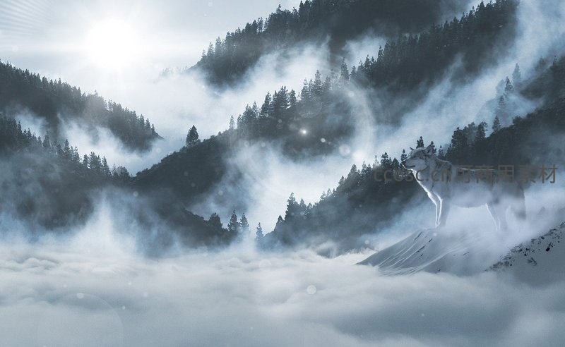 孤狼伫立雪峰之巅俯瞰云海