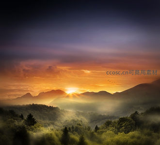 晨曦破雾，群山林海沐金光