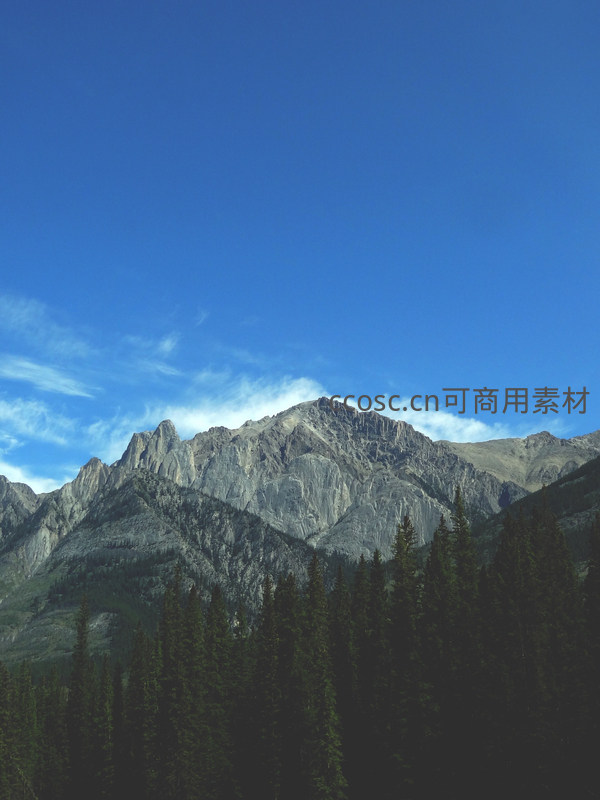 巍峨山峰耸立于苍穹之下，松林环绕