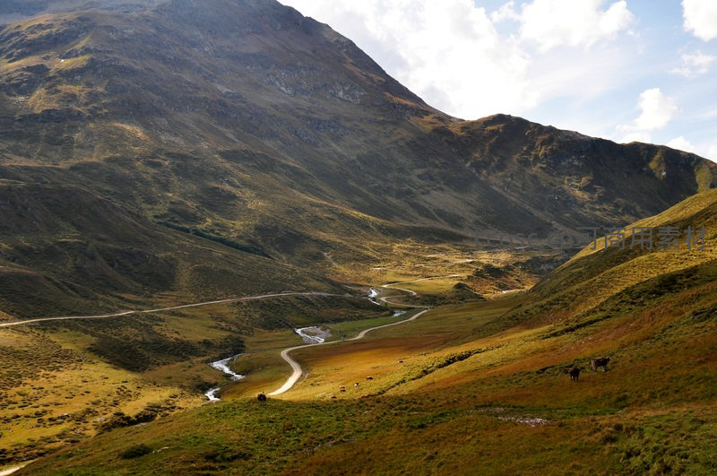 高原山谷中蜿蜒公路与牧牛图景