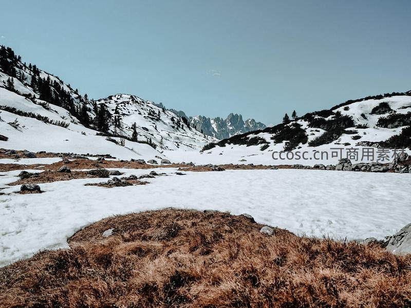 雪野山谷中枯草点缀的冬日秘境