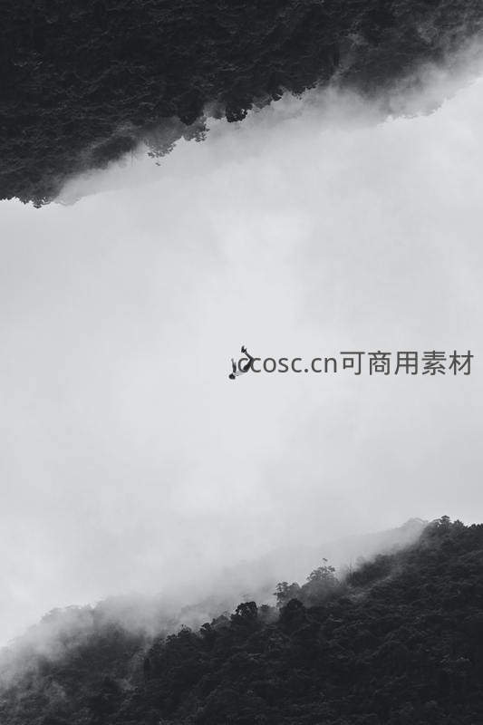 黑白影像中飞鸟穿越云海