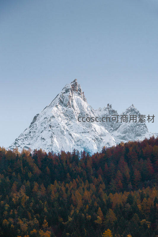 雪峰巍峨，彩林环绕映晴空
