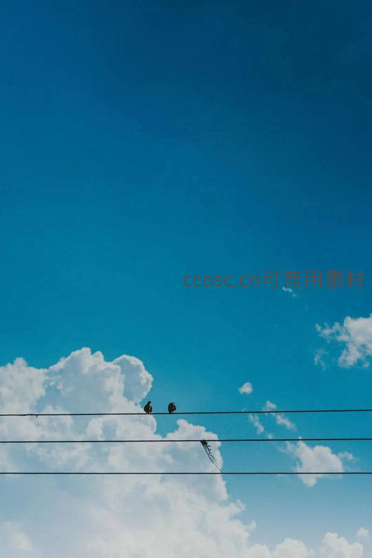 电线上的小鸟与蔚蓝天空
