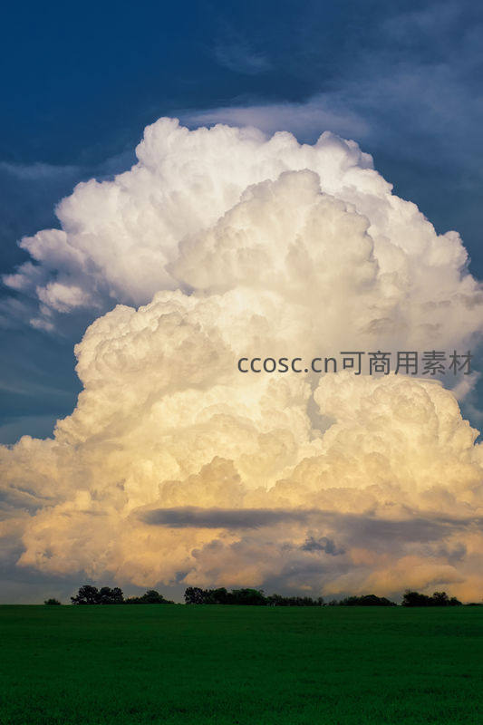 巨大积雨云矗立在翠绿田野之上