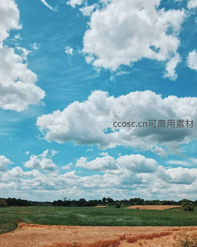 蓝天白云下田野如画