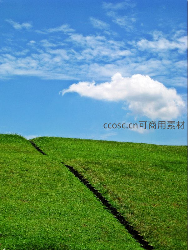 绿茵坡上白云悠悠飘过