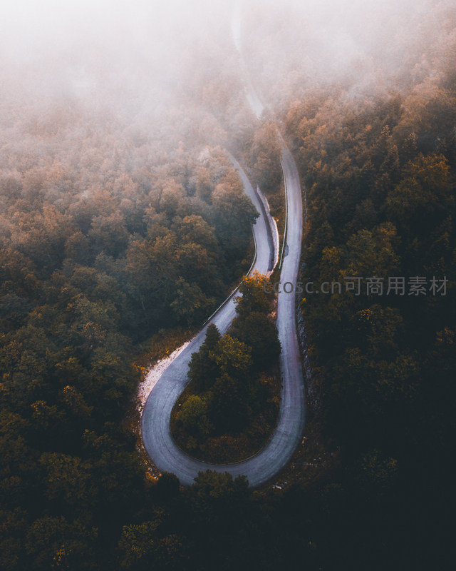 蜿蜒公路穿行雾中密林