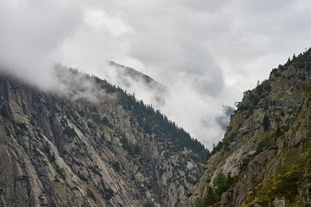 云雾缭绕的陡峭山崖与松林