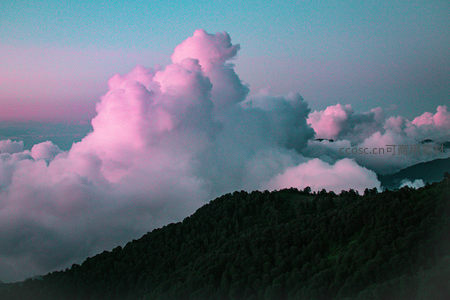 粉紫云海缭绕青翠山峦